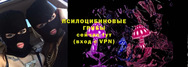прущие грибы Аркадак