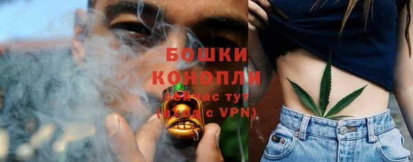 прущие грибы Аркадак