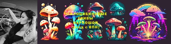 прущие грибы Аркадак