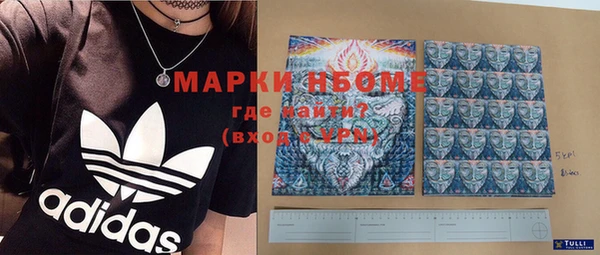 прущие грибы Аркадак