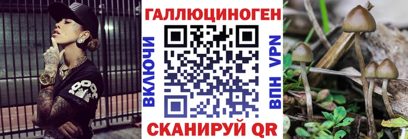 Галлюциногенные грибы Cubensis  что такое наркотик  Барабинск 