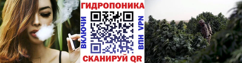 Каннабис индика  Барабинск 